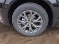 Daumennagel 15 - CUPRA Terramar 1.5 eTSI DSG ACC/Kessy/el.Klappe/Winterp. **