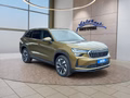 Daumennagel 7 - Skoda Kodiaq 2,0TSI DSG 4x4 aAHK/7-Sitzer/Matrix/Navi/el.Klappe **