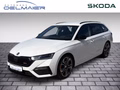 Daumennagel 1 - Skoda Octavia Combi RS Plus 4x4 ACC AHK Standheizung