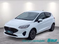 Daumennagel 1 - Ford Fiesta 1.0 EcoBoost S&S TITANIUM Winter-Paket