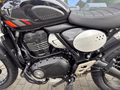 Daumennagel 19 - Triumph Scrambler 400XC NEU! Sofort Verfügbar