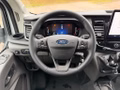 Daumennagel 10 - Ford Transit 350 L3 VA Trend 3-Seiten-Kipper AHK