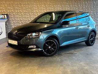 Skoda Fabia Gebrauchtwagen Kaufen