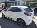 Daumennagel 5 - Ford Puma ST-Line