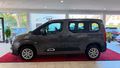 Daumennagel 2 - Citroën Berlingo MPV Feel M
