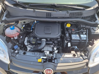 Fiat Panda 1.0 Hybrid 69PS Klima PDC DAB Spurhalteassistent - bilder 10