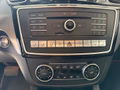 Daumennagel 13 - Mercedes-Benz GLE 350 d 4Matic*AHK*Schiebedach