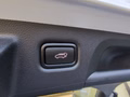 Daumennagel 38 - Kia ProCeed 1.6T GT ACC PANO NAVI LED CARPLAY KAMERA