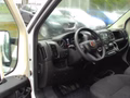 Daumennagel 8 - Fiat Ducato Kasten 35 2.2 D 140 L4H2 Kamera, Klima, PDC,