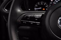 Daumennagel 31 - Mazda CX-30 Homura 2WD  AUT NAV LED HEAD-UP AHK