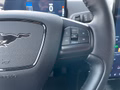 Daumennagel 25 - Ford Mustang Mach-E RWD Standard Range 75,7kWh