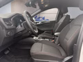 Daumennagel 9 - Ford Focus ST-Line 1,5d 115PS Aut.Navi/LED/Kamera/ACC/2-Z.Klima