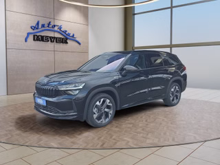 Skoda Kodiaq age.one-day registration Kaufen