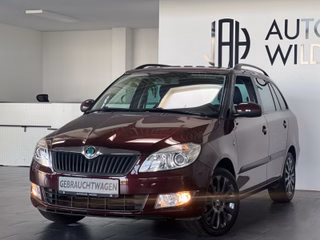 Skoda Fabia Gebrauchtwagen Kaufen