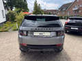 Daumennagel 9 - Land Rover Discovery Sport Dynamic SE AWD ACC AHK Leder