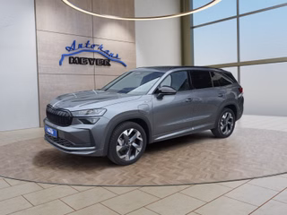 Skoda Kodiaq age.one-day registration Kaufen