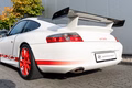 Daumennagel 43 - Porsche 911/996 GT3 RS  1st paint 1st tires NO over-revs