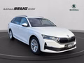 Daumennagel 3 - Skoda Octavia Combi 2.0 TDI DSG Selection, LED, PDC, ACC, Navi, AHK, ...