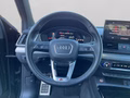 Daumennagel 15 - Audi SQ5 Sportback quattro TDI Matrix+Navi+Kamera