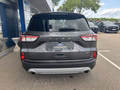 Daumennagel 7 - Ford Kuga Plug-In Hybrid Titanium X - AHK - Elektr.Heckklappe - Top