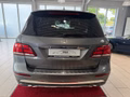 Daumennagel 8 - Mercedes-Benz GLE 350 d 4Matic*Panorama