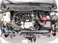 Daumennagel 15 - Ford Fiesta 1.0 EcoBoost S&S TITANIUM Winter-Paket