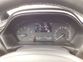 Daumennagel 8 - Ford Fiesta 1.0 EcoBoostHybrid S&S TITANIUM NAVI LED