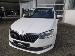 Skoda Fabia III Cool Plus 1.0 TSI 95 PS 5-Gang, Enjoy Paket, SH, PDC, Bluetooth