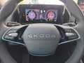 Daumennagel 21 - Skoda Kodiaq 1.5TSI mHEV Navi/Kamera/LED/el.Klappe/Kessy **