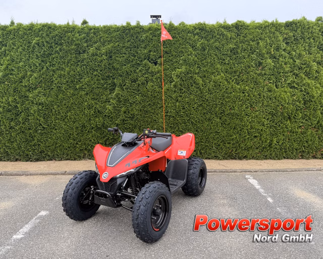 CFMOTO CFORCE 110 *Kinderquad* Neuwagen Kaufen | EZ  | Preis 1.999 €