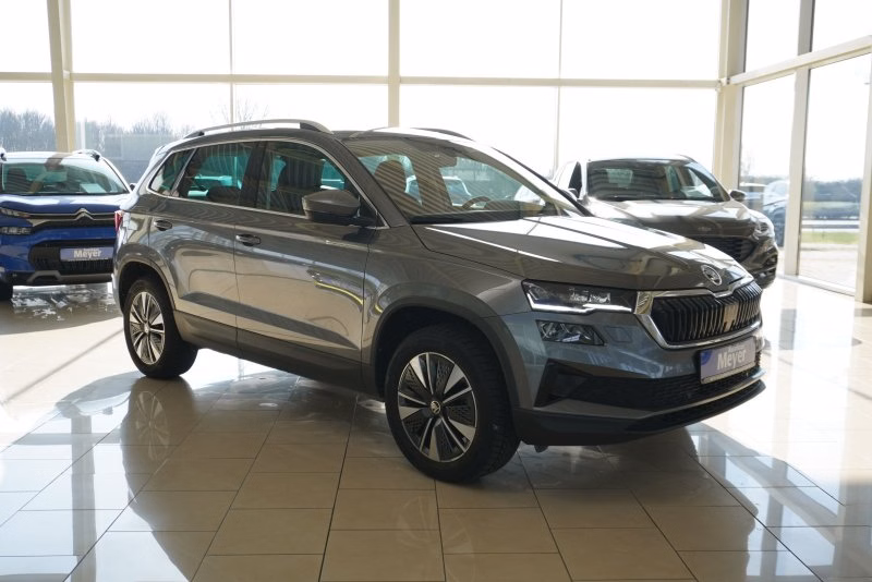 Skoda Karoq Style 2,0TDI 4x4 DSG Matrix/Navi/Kamera/ACC/Kessy  **