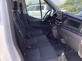 Daumennagel 15 - Ford Transit 350 L4H3 Lkw HA Trend Trennwand Metall