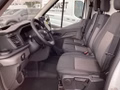 Daumennagel 13 - Ford Transit 310 L2H2 Lkw VA Basis Seitenw.verkl.ho.