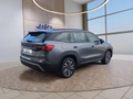 Daumennagel 6 - Skoda Kodiaq 1.5TSI mHEV Navi/Kamera/LED/el.Klappe/Kessy  **