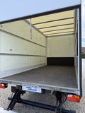 Daumennagel 10 - Ford Transit Koffer 350 L4 Einzelkabine Trend