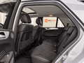 Daumennagel 32 - Mercedes-Benz ML 350 CDI AHK/Luft Fahrwerk/RFK