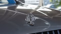 Daumennagel 55 - Mercedes-Benz X 350 4MATIC X600L MAYBACHOPTIK 360° SPUR NAVI