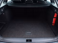 Daumennagel 30 - Skoda Octavia Combi RS 245 /COLUMB/VIRTUAL/ACC/AHK/RFK
