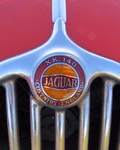 Daumennagel 14 - 1955 Jaguar XK 140 OTS SE