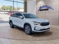 Daumennagel 9 - Skoda Kodiaq 2,0TDI DSG 7-Sitzer/Matrix/Navi/ACC/el.Klappe/Kamera  **