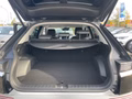 Daumennagel 10 - Hyundai Ioniq 5 Viking 4WD  Elektro , 8fach bereift, AHK abnehmbar