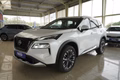 Daumennagel 4 - Nissan X-Trail Tekna+ 1.5 VC-T e-POWER e-4ORCE UPE=59000 Euro   **