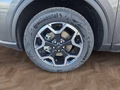 Daumennagel 14 - Ford Kuga Active 2.5 Plug-in-Hybrid 5*J.Gar/Winterp/LED/Navi  **