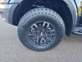 Daumennagel 5 - Ford Ranger 2,0 l EcoBlue Autm. Raptor Standheizung