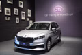 Daumennagel 2 - Skoda Fabia Active/Car Pay/Navi/1 Hand