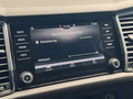 Daumennagel 29 - Skoda Kodiaq Style |Standheizung|LED|Kamera|SHZ|CarPlay|