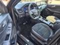 Daumennagel 8 - Ford Kuga Plug-In Hybrid ST-Line X - Fahrer Assist.P. - Techno.P. - Schiebedach - 19 Zoll - HUD-VOLL