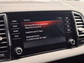 Daumennagel 29 - Skoda Karoq Sportline 4x4 CANTON|4xSHZ+LK|NAVI|VIRTUAL|DCC|TEMPOMAT