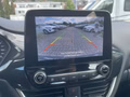 Daumennagel 20 - Ford Puma 1.0 EcoBoost Hybrid Aut. Titanium Navi/RFK