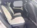 Daumennagel 21 - Porsche Cayenne E-Hybrid